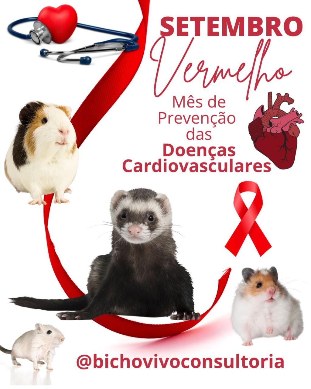 Setembro vermelho: mês de prevenção das doenças cardiovasculares